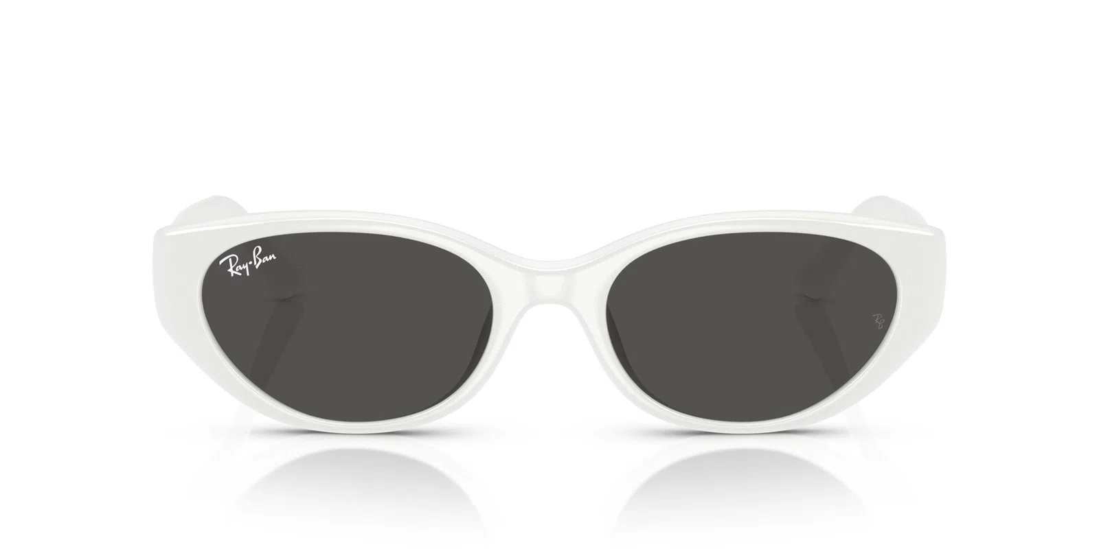 Ray-Ban 4457D Sunglasses - view 27